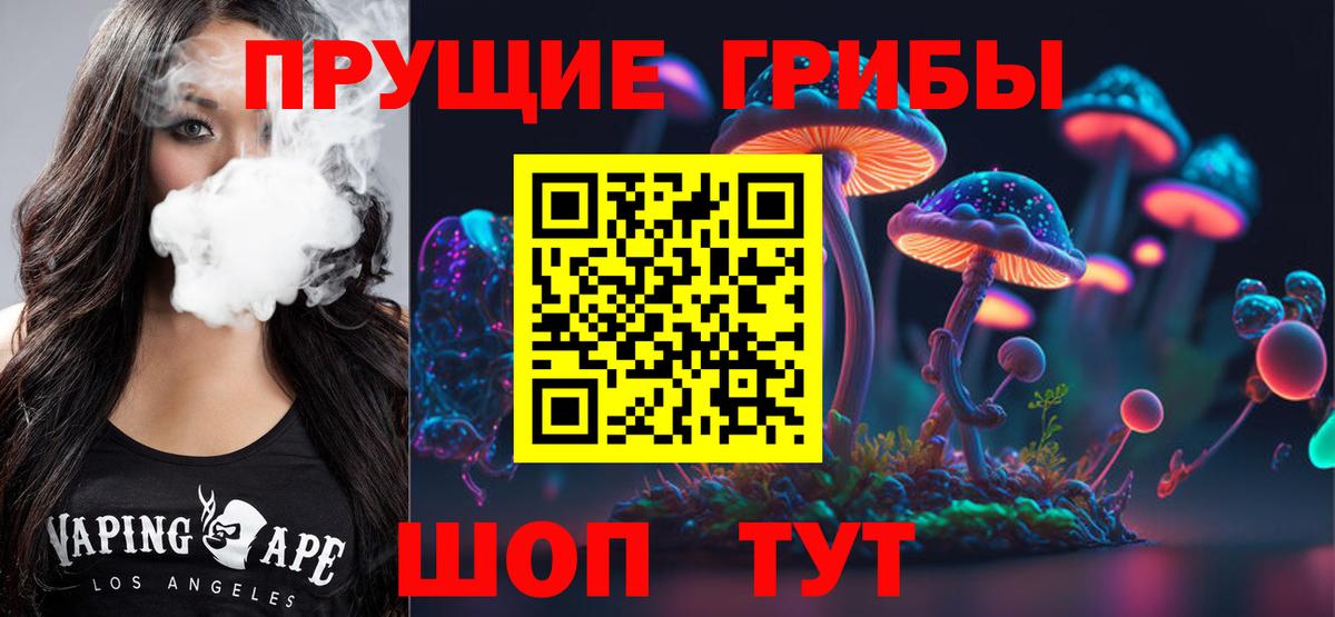 хочу наркоту  Вход с VPN  Торжок  Галлюциногенные грибы Psilocybine cubensis 